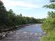 Black River Frontage Huntingbuildable Acre Parcel in Wisconsin Photo 4