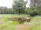 Acres Hunting Santuary with Food Plots and Water Holes Photo 1