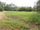 Acres Hunting Santuary with Food Plots and Water Holes Photo 2