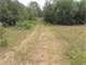 Acres Hunting Santuary with Food Plots and Water Holes Photo 3