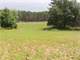 Acres Hunting Santuary with Food Plots and Water Holes Photo 7