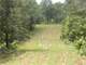 Acres Hunting Santuary with Food Plots and Water Holes Photo 8