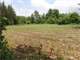 Acres Hunting Santuary with Food Plots and Water Holes Photo 9