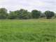 29.96 Acres Wildlife Habitat with Honey Creek Winding Through Photo 3