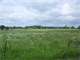 29.96 Acres Wildlife Habitat with Honey Creek Winding Through Photo 4