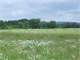 29.96 Acres Wildlife Habitat with Honey Creek Winding Through Photo 5