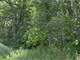 Rural 5 Acre Parcel North Wisconsin Dells Photo 10