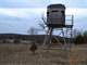 657 Acres Prime Ozark Hunting Property for Sale Photo 13