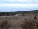 657 Acres Prime Ozark Hunting Property for Sale Photo 5