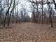 657 Acres Prime Ozark Hunting Property for Sale Photo 7