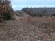 657 Acres Prime Ozark Hunting Property for Sale Photo 8