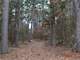 657 Acres Prime Ozark Hunting Property for Sale Photo 9