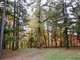 Nice Home ON Twenty Wooded Acres and Creek Frontage Photo 14