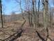 Woodedbuildable Land Clark Cty Humbird WI 48.58 Acres Photo 12