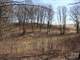 Woodedbuildable Land Clark Cty Humbird WI 48.58 Acres Photo 5