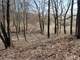 Woodedbuildable Land Clark Cty Humbird WI 48.58 Acres Photo 6