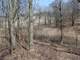 Woodedbuildable Land Clark Cty Humbird WI 48.58 Acres Photo 7