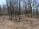 Woodedbuildable Land Clark Cty Humbird WI 48.58 Acres Photo 8