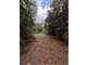 Unrestricted 47.5 Acres Newton County Paradise
